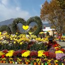 동두천-007 이미지