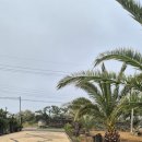 수채화별당 이미지