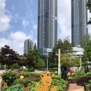 화성-향남-1호 이미지