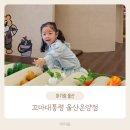 울산 울주군 남창 키즈카페 꼬마대통령 울산온양점