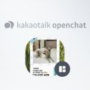 하이뭉치 유치원 이미지