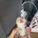 신장로90번길 이미지