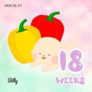 식구인터내셔널 | 2월 일상 / 호텔 인터내셔널 창원 결혼식 그리고 발리 신혼여행