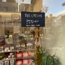 거울보는 강아지 | (서울 망원) 후룹 / 강아지 자연식 / 애견 화식