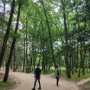 수원-0626 이미지