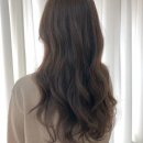 로이드밤대구 이미지