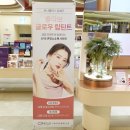 더 뷰티 보나 이미지