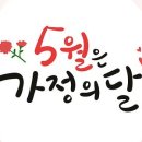 부엉이카워시 이미지