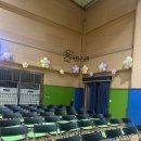 동부초등학교 | 대구경북경남 풍선장식 | 다부초등학교 전시회 강당 벽면 꽃풍선 시공 후기