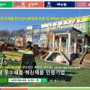 영광대마중학교 네이버블로그