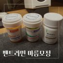 다이어트 필수품 펜트라민 마름모정 내돈내산 후기