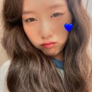 공지호 카카오 검색결과