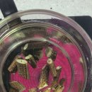 약용식물전문가과정 | 약용식물전문가과정 꾸지뽕 고려대학교미래교육원 약초강의 약초이용