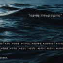 블루닷(BLUE DOT)