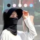 아이스533 이미지