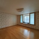 칠괴 우림필유 이미지