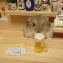 맥