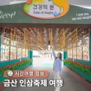 금산군푸드트럭존 | 국내 당일치기 버스여행 충남 금산 가볼만한곳 세계인삼축제 국내여행패키지 로망스투어 후기