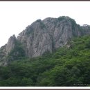 명기원 이미지