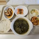 미즈메디 제왕절개 3~4일차 후기｜미즈메디 수유, 젖몸살, 오케타니 마사지 솔직후기