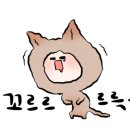 시골애낙지볶음 이미지