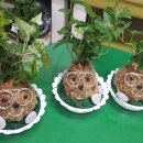 선부종합사회복지관 이미지