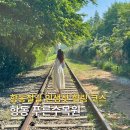 26. 6,17 (수) 천왕산 (항동철길,푸른수목원 경유) 이미지