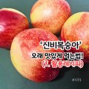 OK포인트마트 | 롯데마트 제철엔제타 신비복숭아, "이렇게 보관하세요" 오래 맛있게 먹는법 (f. 활용 레시피)