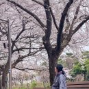 기와터(근린공원) | 제주시 가볼만한곳 3월 제주 여행 벚꽃명소 수운근린공원