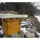 물레방아영양탕 이미지