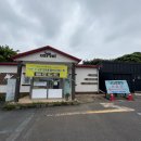 파란낙타 | [제주 서귀포] 자연에서 즐기는 제주 아이들 놀거리 낙타 체험 낙타트래킹 내돈내산 후기