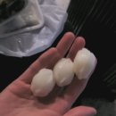 첫해외여행/일본/3박4일