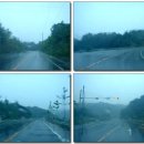 꿩샤브샤브 이미지