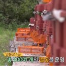 영농조합법인영주벌꿀 네이버블로그