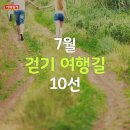 카드숲