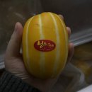 세영농장 | 4월 농라 구매 후기 - 세영농장