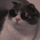 오늘은 힐링 이미지