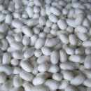 태양농장 이미지