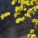 자비손한의원 이미지