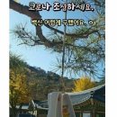 시민약국 이미지