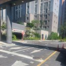 퐁실하개 | 덕양구 애견미용은 이제 부터 퐁실하개 !