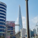 공기반소리반노래연습장 | 🌸 "벚꽃 반, 사람 반" 그 이상의 감동!위례에서 석촌호수까지 네 식구의 우당탕탕 벚꽃 라이딩 정복기!