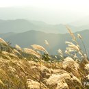 이례건축사사무소 이미지