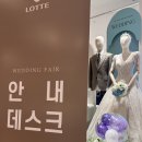 블링썸 | W. 울산 웨딩밴드 | D102 블링썸 반지 예물 당일계약