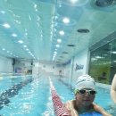 리틀아레나 이미지