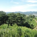 보은 삼년산성 이미지