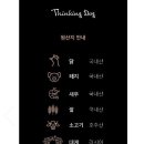 루이펫독 이미지