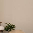 라임테이블 이미지