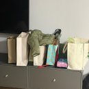 밀린 11월 일상 블로그 / 로이드 미아방지 목걸이 팔찌 / 조카 돌 / 오이도 조개구이 / 다비치 강민경...