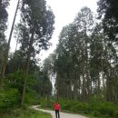 원용복마을 이미지